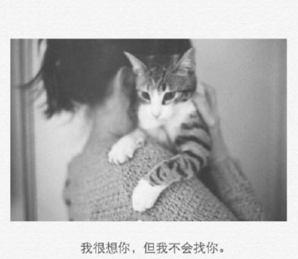 唯美图片，文字图片,情侣图片qqqqp
