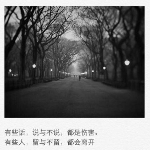 唯美图片，文字图片,情侣图片qqqqp
