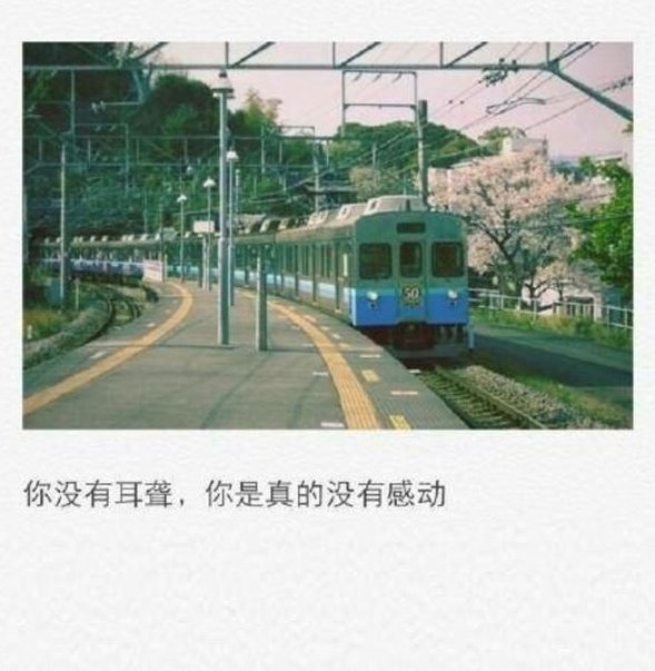 不要用甜言蜜语感动你爱的人