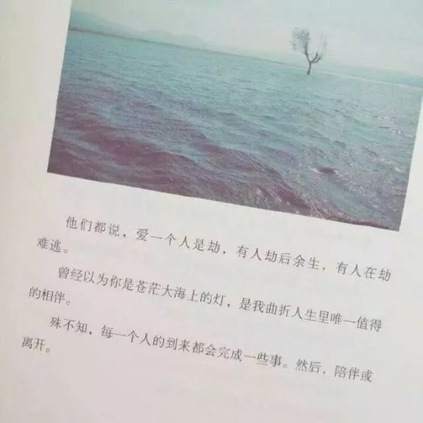 唯美图片，文字图片,情侣图片qqqqp
