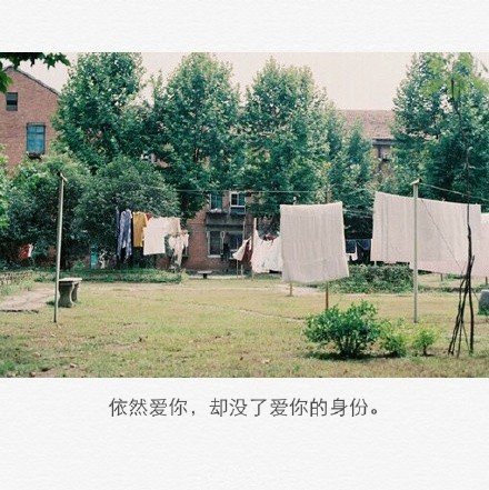 你都没有为了跟我在一起而努力过