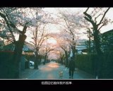 每一个嘴里说不想恋爱的人，心里都装着一个无法拥有的人