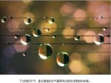 时光是一张不老的容颜