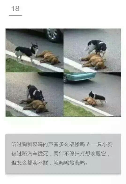 感动瞬间