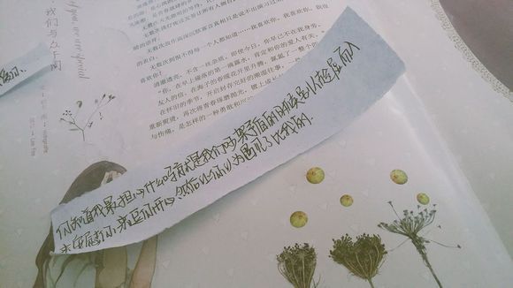 世界这么大，我这辈子都走不完