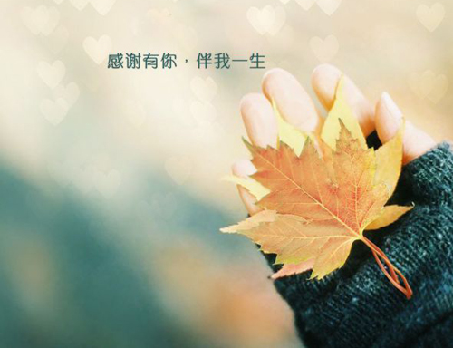 唯美的流年，感谢有你