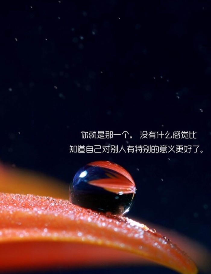 爱情是一份礼物，不是交易
