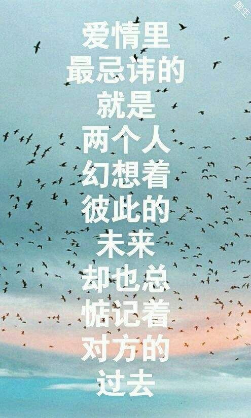 我会哭但我不会输