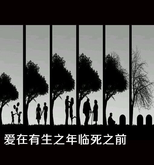 害怕你会飞向远方，飞到我到不了的地方。经典文字签名图片
