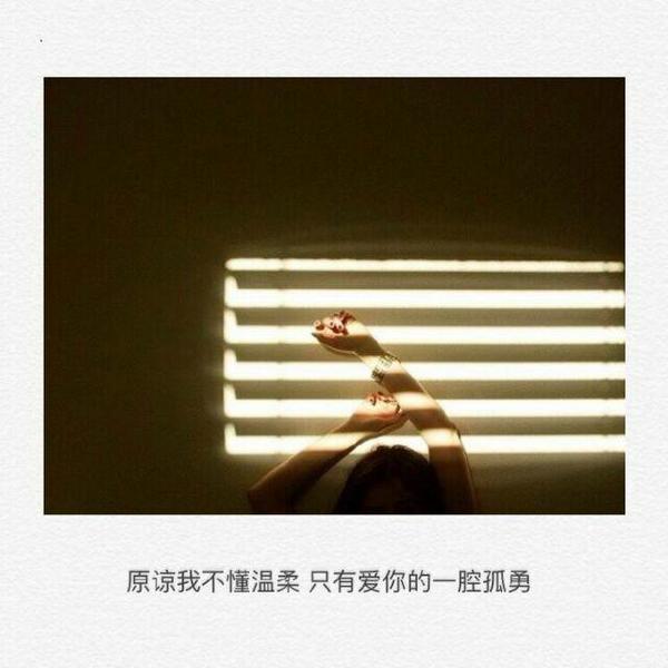 我努力过，只是你没有感动过而已