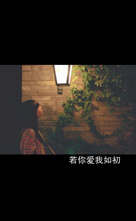 鱼忆七秒