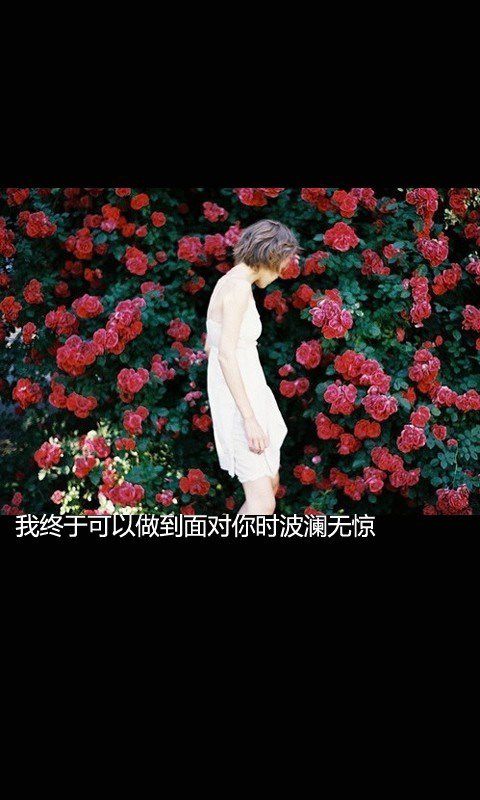 我心不允许我脆弱