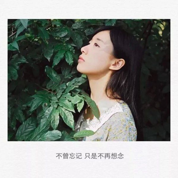 唯美图片，文字图片,情侣图片qqqqp