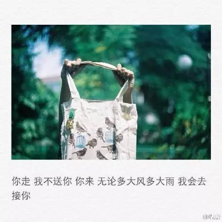 唯美图片，文字图片,情侣图片qqqqp
