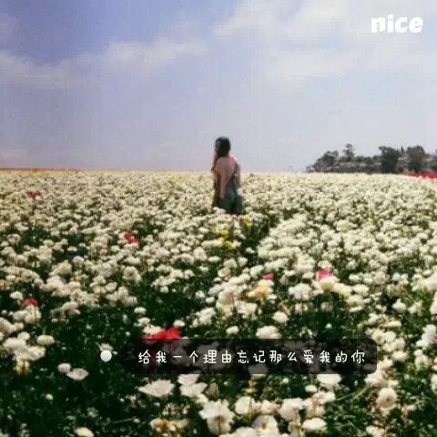 唯美图片，文字图片,情侣图片qqqqp