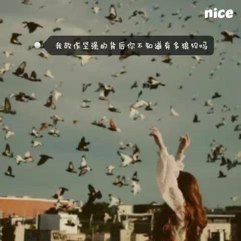 唯美图片，文字图片,情侣图片qqqqp