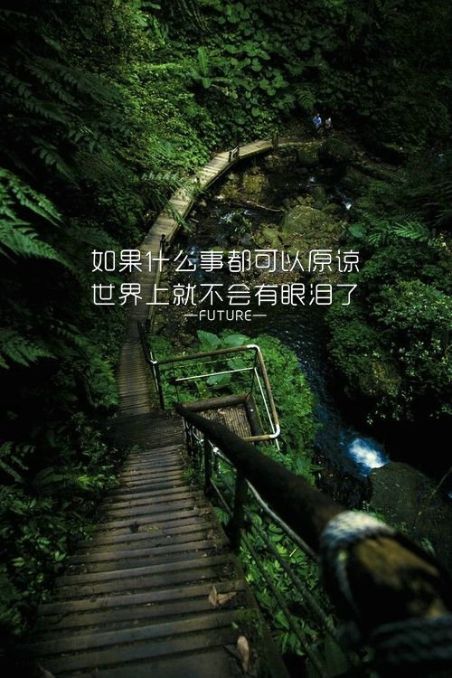 像我这种性格缺陷的人，也想要给你最纯粹的东西