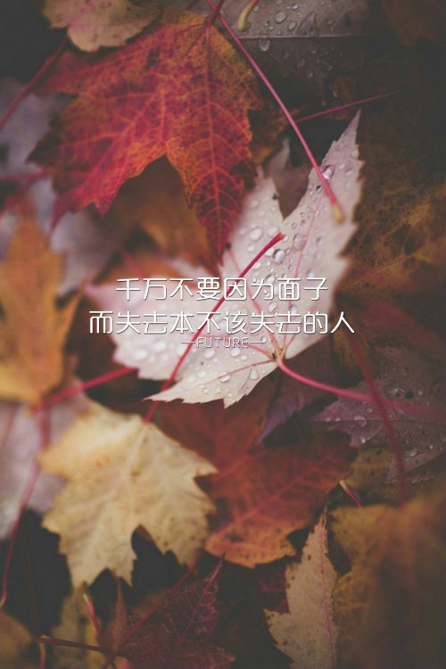 唯美图片，文字图片,情侣图片qqqqp