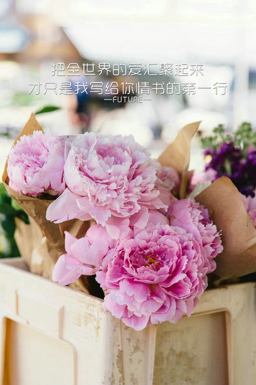 唯美图片，文字图片,情侣图片qqqqp
