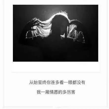 唯美图片，文字图片,情侣图片qqqqp