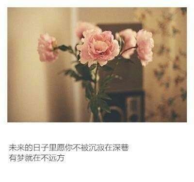 唯美图片，文字图片,情侣图片qqqqp