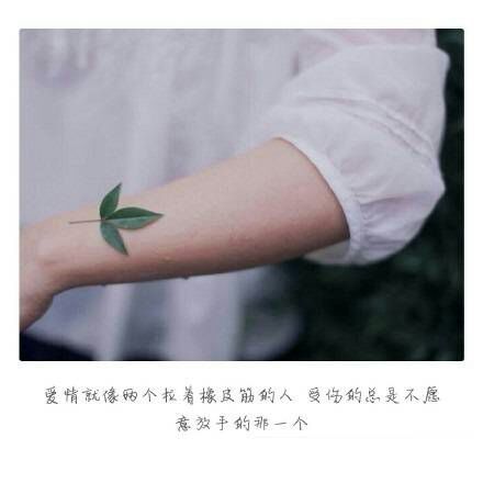 唯美图片，文字图片,情侣图片qqqqp
