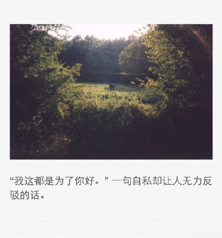 唯美图片，文字图片,情侣图片qqqqp