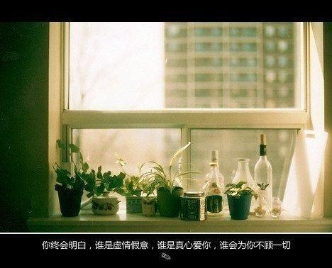 唯美图片，文字图片,情侣图片qqqqp