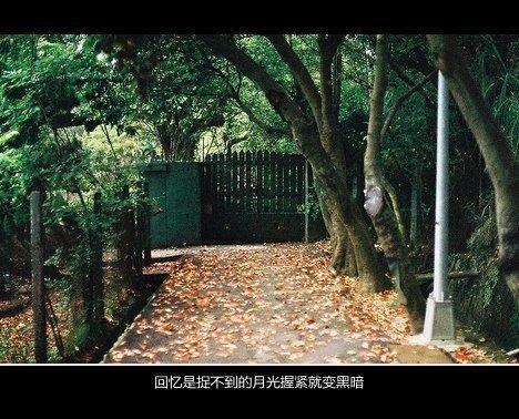 唯美图片，文字图片,情侣图片qqqqp
