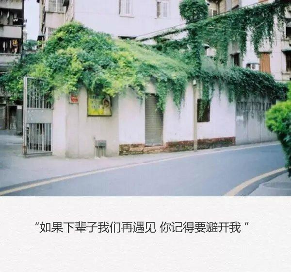 等有一天自己变得孤立，我会很想你