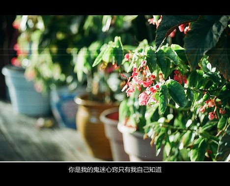 唯美图片，文字图片,情侣图片qqqqp
