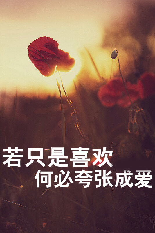唯美图片，文字图片,情侣图片qqqqp