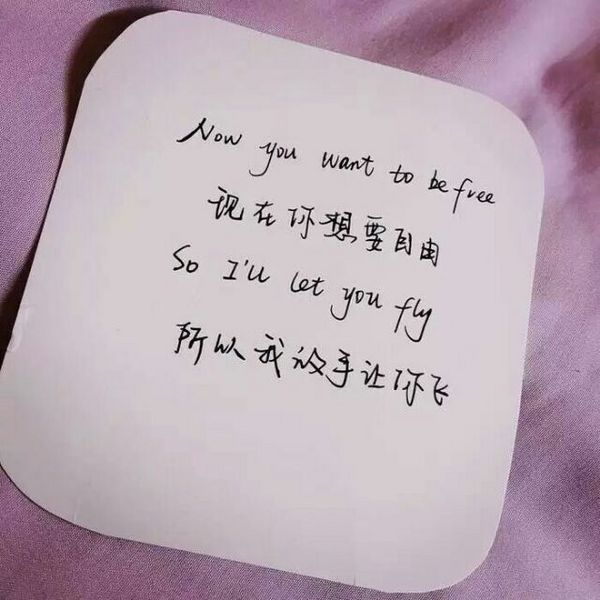 你想要自由，所以我选择放手