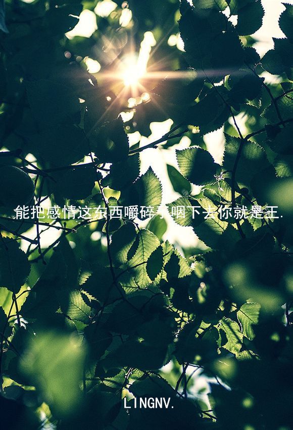 如果我爱你是靠说的 那哑巴怎么办