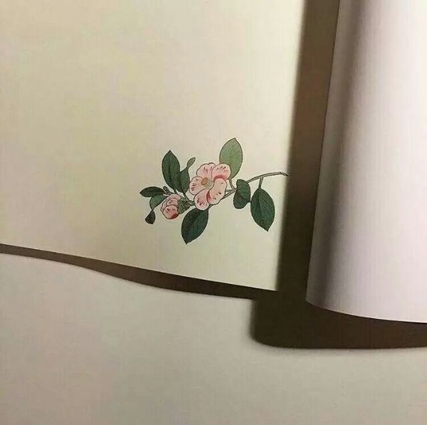 唯美图片，文字图片,情侣图片qqqqp