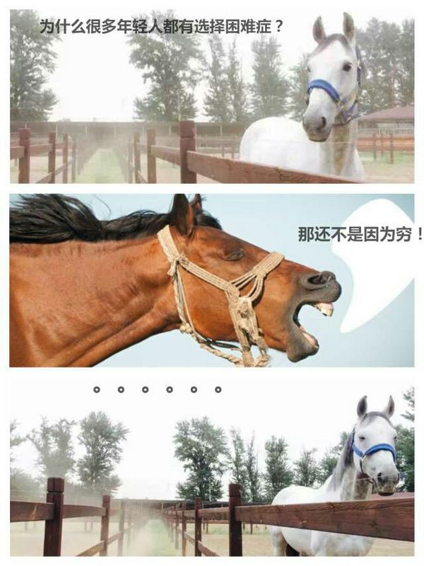 唯美图片，文字图片，动漫图片，情侣图片,qqqqp.com