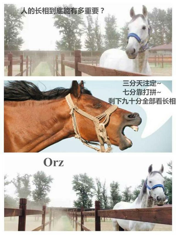 唯美图片，文字图片，动漫图片，情侣图片,qqqqp.com