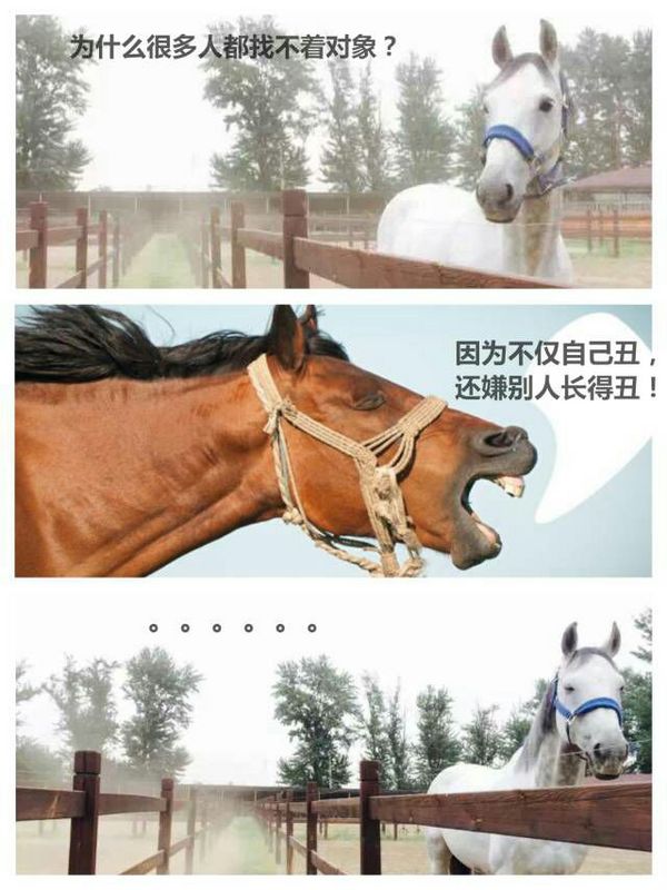 唯美图片，文字图片，动漫图片，情侣图片,qqqqp.com