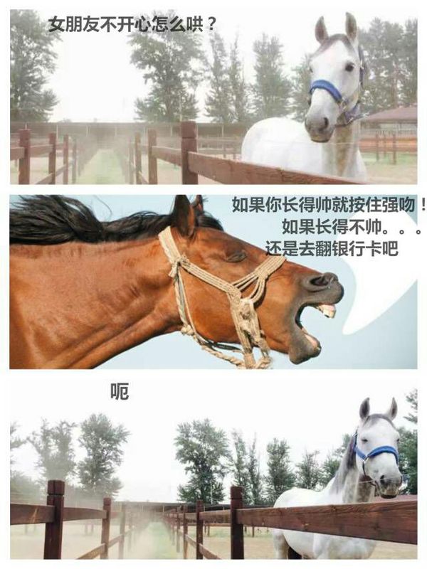唯美图片，文字图片，动漫图片，情侣图片,qqqqp.com