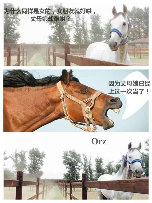 唯美图片，文字图片，动漫图片，情侣图片,qqqqp.com