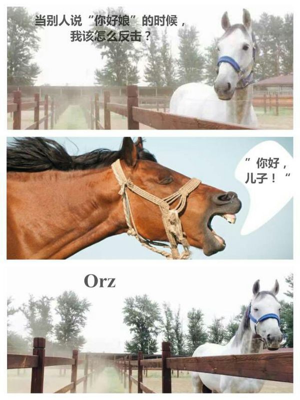 唯美图片，文字图片，动漫图片，情侣图片,qqqqp.com