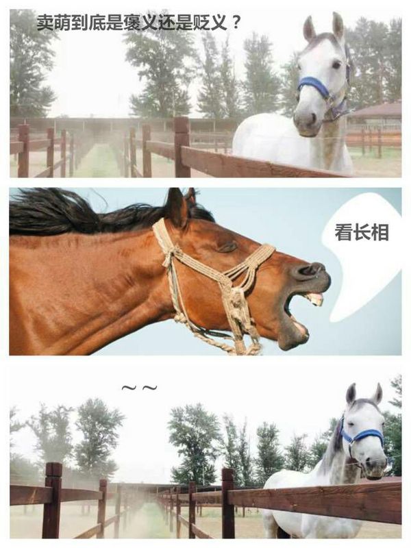 唯美图片，文字图片，动漫图片，情侣图片,qqqqp.com