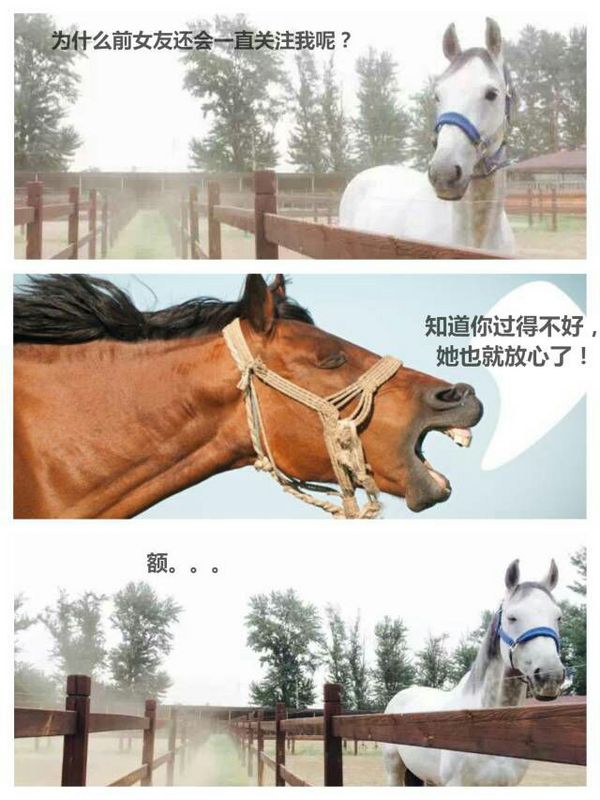 唯美图片，文字图片，动漫图片，情侣图片,qqqqp.com