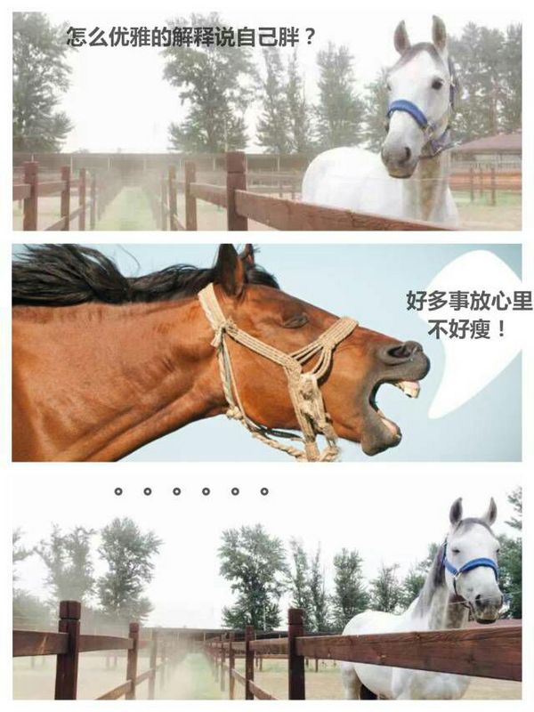 唯美图片，文字图片，动漫图片，情侣图片,qqqqp.com