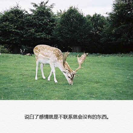 我是你漫漫人生，只配错过的好人