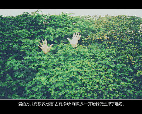 若不张扬如何青春