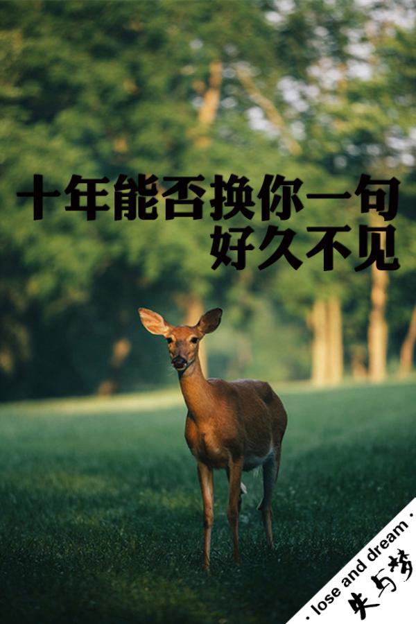 时光里站成永恒