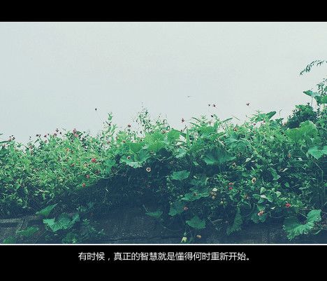 一个人若不够狠，爱淡了不离不弃多残忍