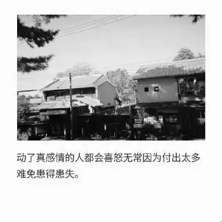我把思念酿成美酒，你是否愿与我同游