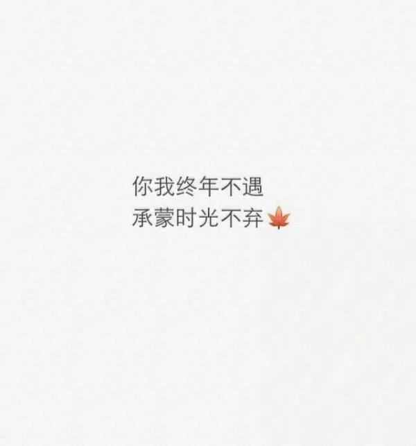 懂得越多，越像这个世界的孤儿